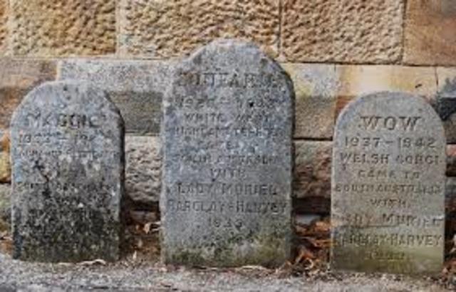 Event 8 Back on Track