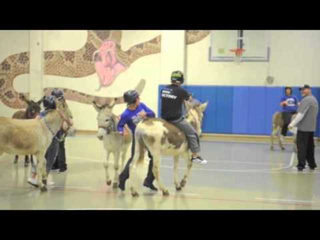 Donkey Basketball