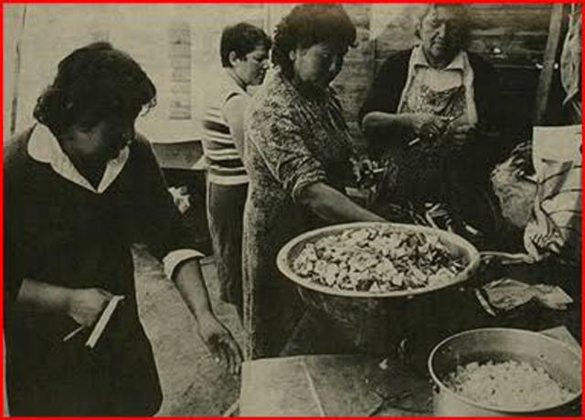 Crisis económica Mexicana