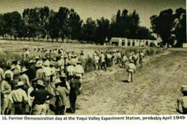 Revolución verde en Mexico