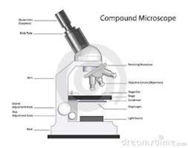 The Microscope