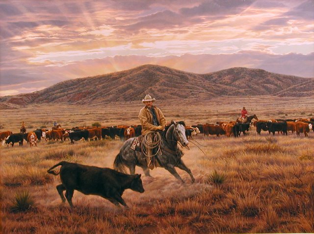 Dance of the Blue Cayuse By Alden Cox