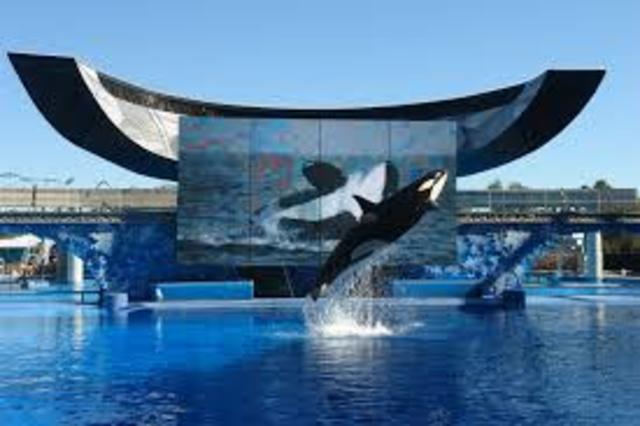 I went to Sea World!!!
