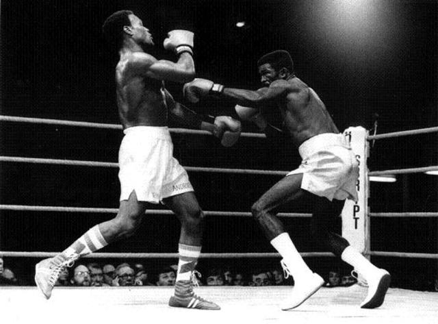 Andries W12 Williamson