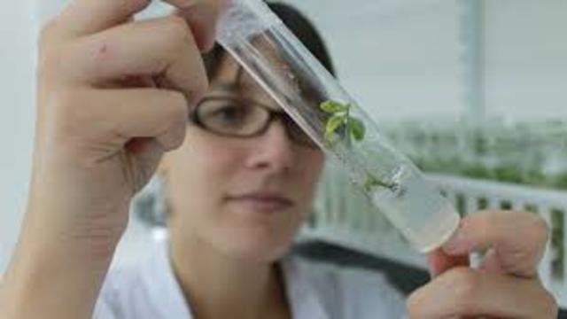 Se descubre el gen. de la sequia(NOTICIA)