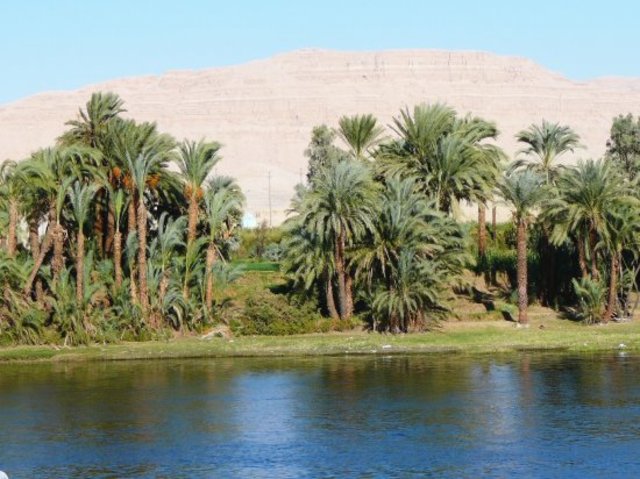 First Eygptian Settlers