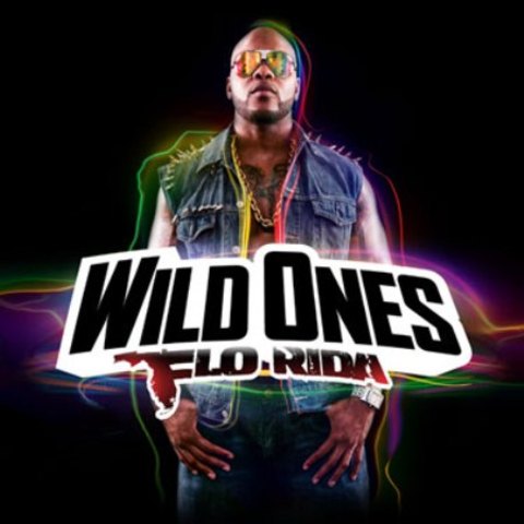 Flo Rida ft. Sia- "Wild Ones"