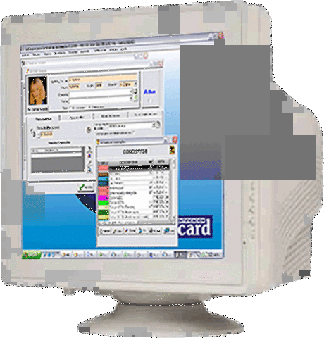 e. metadato. Se identificarán las siguientescategorías: