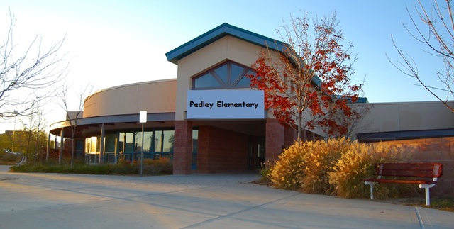 Pedley in 4 years time