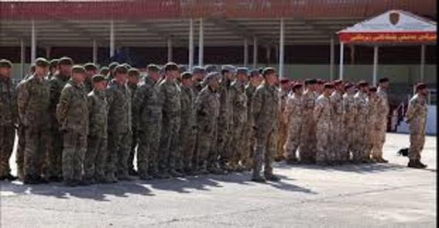 Military Effectiveness Takes Hold