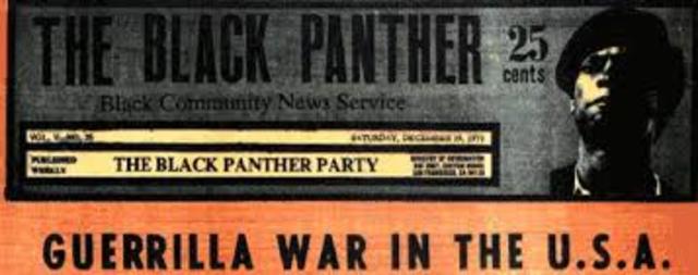 Creation of the Black Panthers