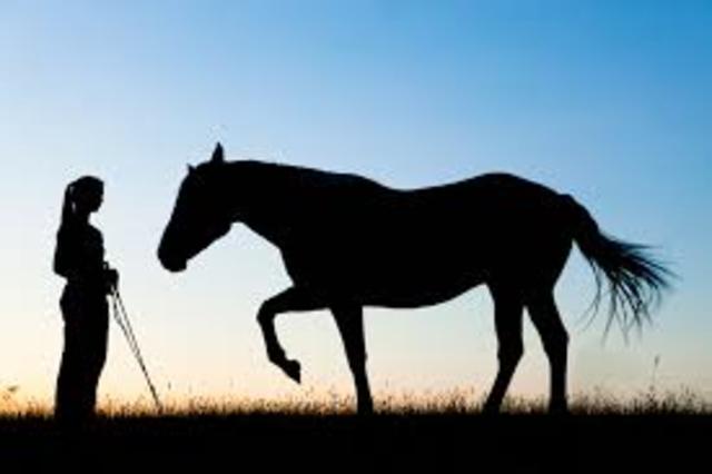 the day i got my first horse