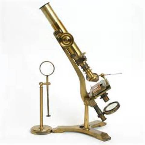 Microscope