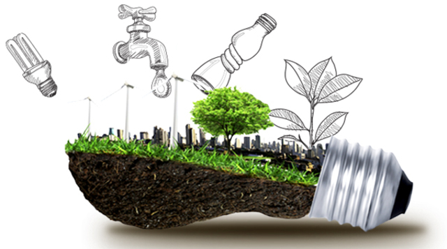 Ambiente sostenible sin impunidad