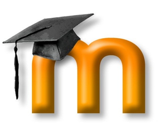 The rise of the Learning Management System