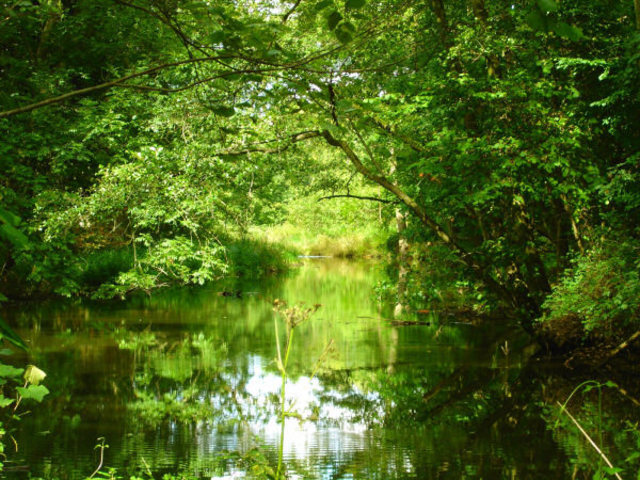 Georges-Louis Leclerc de Buffon