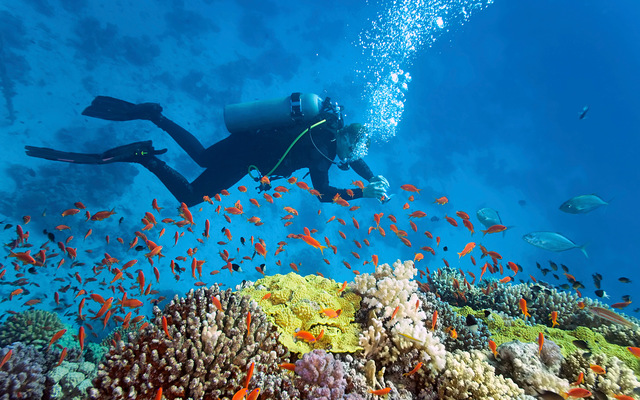 I went to the behamas