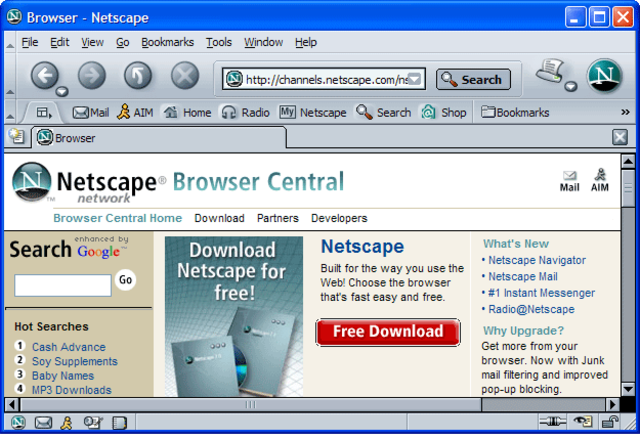 NETSCAPE ERA ABANDERADO DE LA WEB 1.0