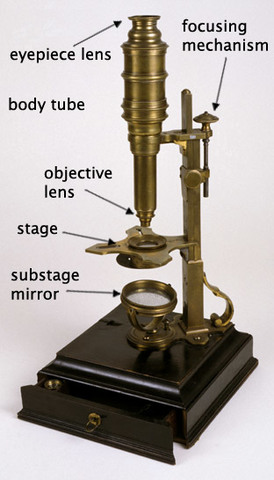 Compound Microscope