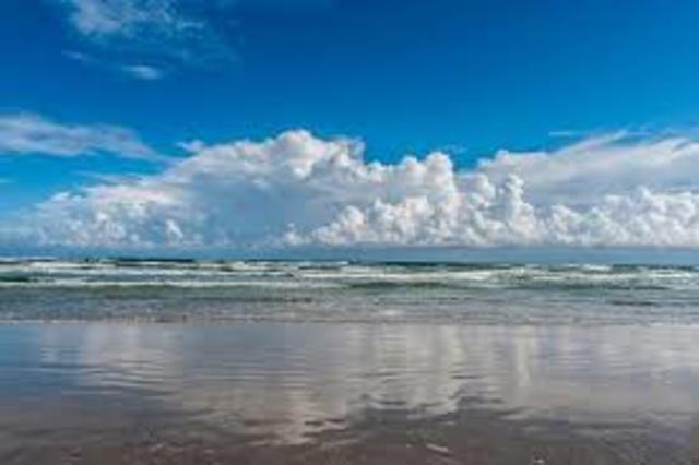 Trip to Port Aransas