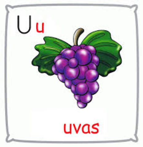 LA U DE UVAS