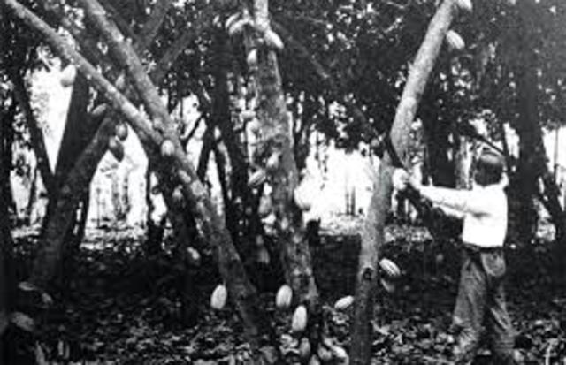 DEL BOOM A LA CRISIS