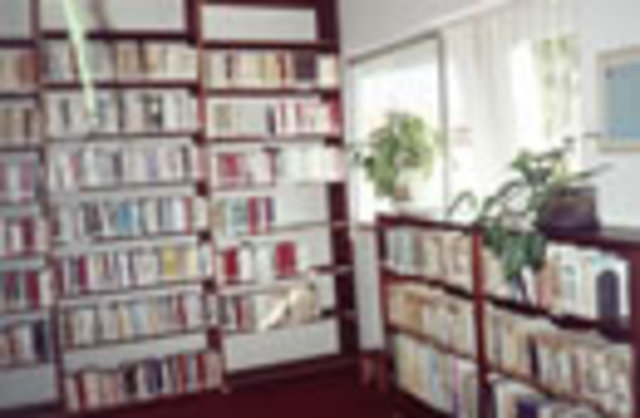 BIBLIOTECA MUNICIPAL MANOELITO DE ORNELAS