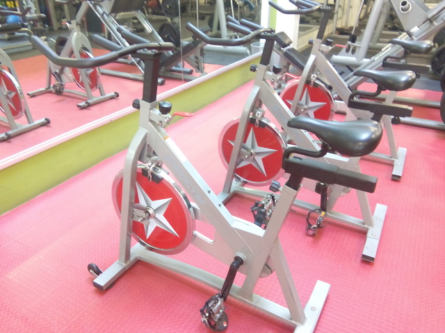 SEGUNDA SEMANA  (15-21 FEBRERO)