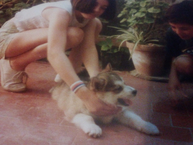 Mi primera mascota: Bethoven