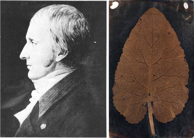 Thomas Wedgwood, 1771