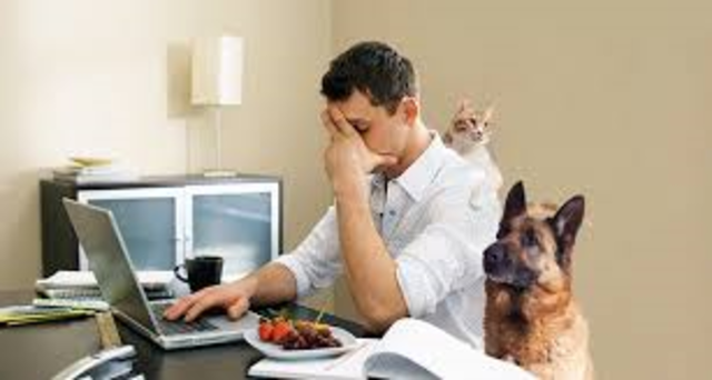 Teacher working from home