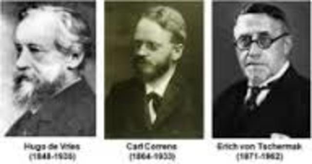 Correns, Tchermak y De Vries