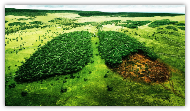Ley de medidas contra la contaminación del suelo.