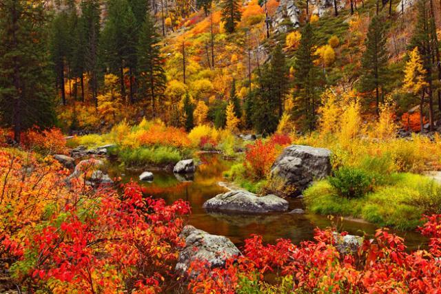 La Ley de Conservación de la Naturaleza.