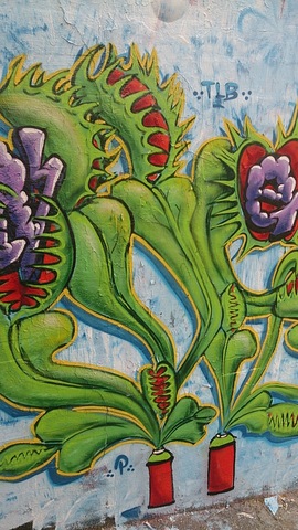 Spraypaint Can Venus Fly Traps - artist unknown