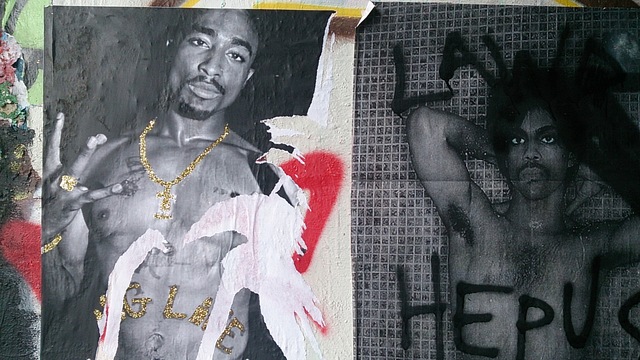 Prince and Tupac "bling" - artist unknown