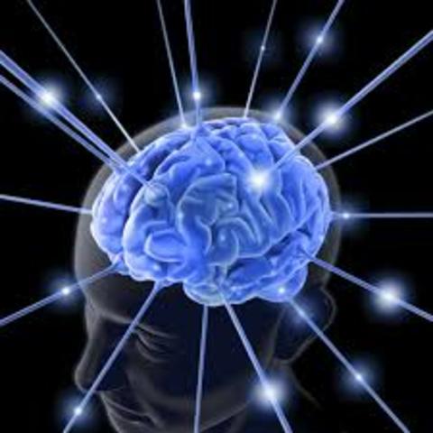 ¿ES LA PEDAGOGIA UNA CIENCIA?  POSITIVISMO LOGICO