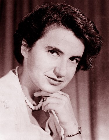 "Primeros estudios físiccos"