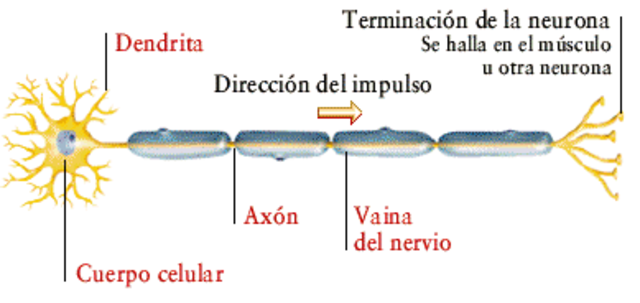 Investigadores de la Universidad Californiana de Pasadena