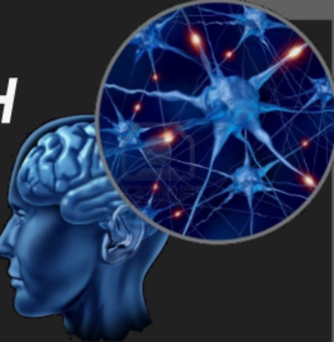 Historia de Inteligencia Artificial.