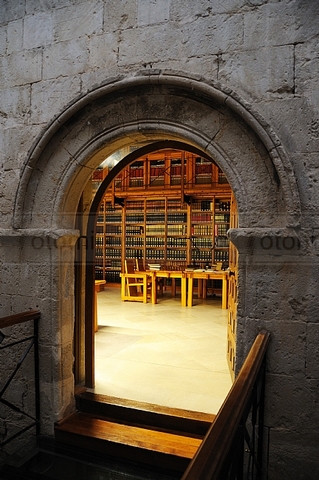 BIBLIOTECAS MONASTICAS