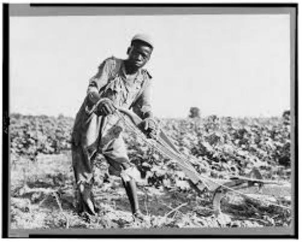 Sharecropping