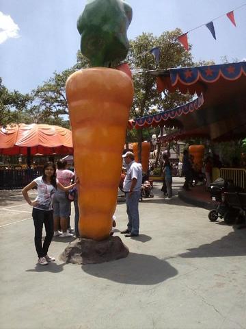 Excursión a Six y el Rollo