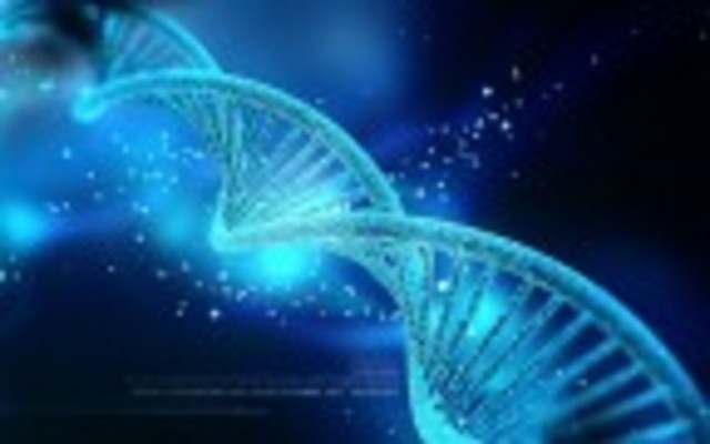 Modelo de doble helice