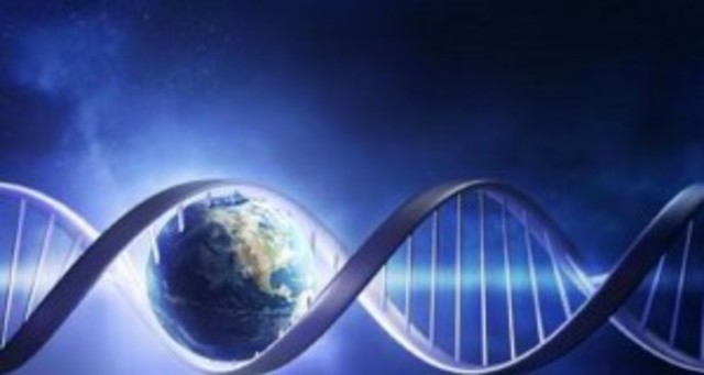 ADN en la heredabilidad