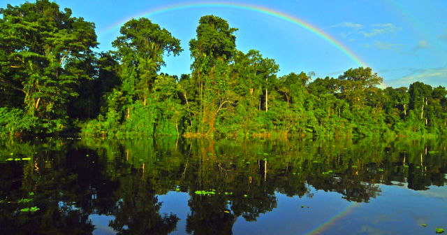 Large-scale initiative to save the Amazon