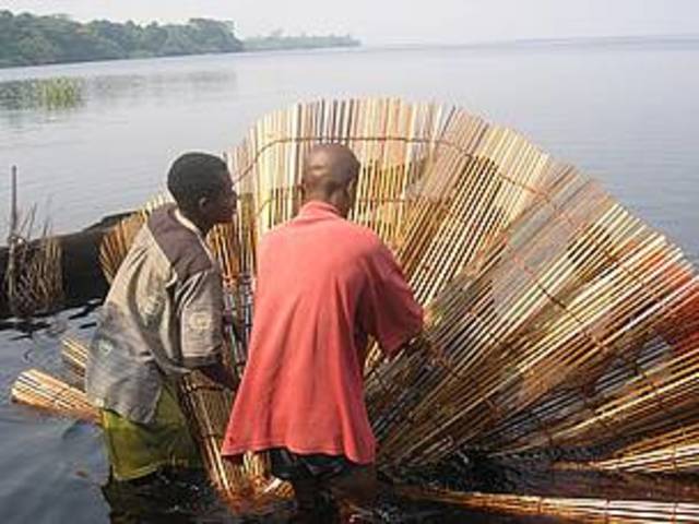 The world’s largest environmental activism even