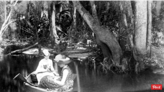 The Dry Plate Negative