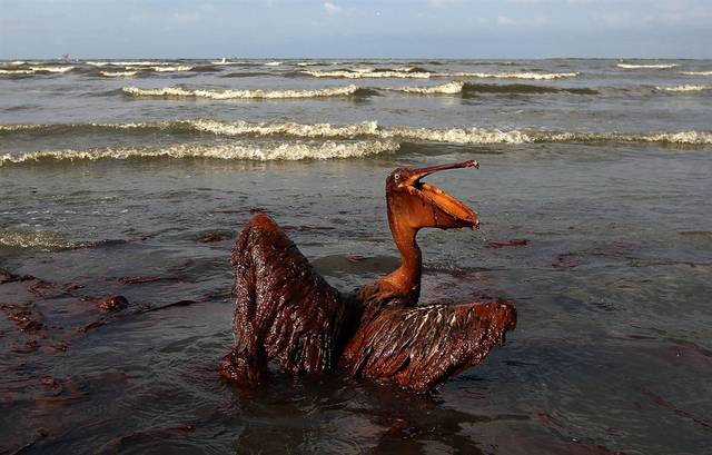 BP Oil Spill