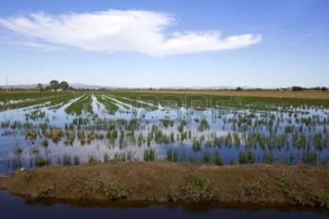 OBRAS HIDRÁULICAS PARA LA IRRIGACIÓN AGRÍCOLA